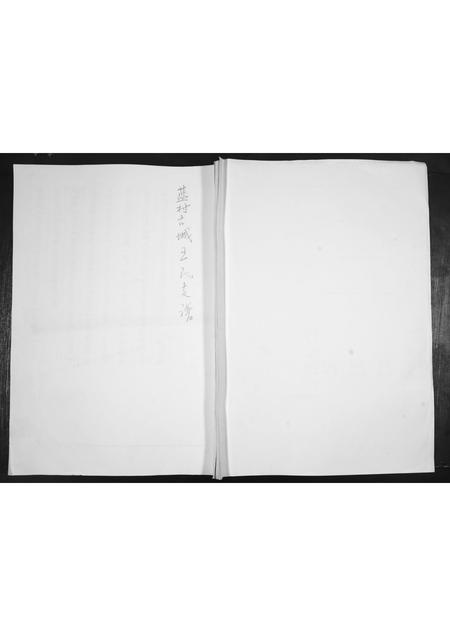 山东王氏-王氏支谱.pdf电子版缩略图