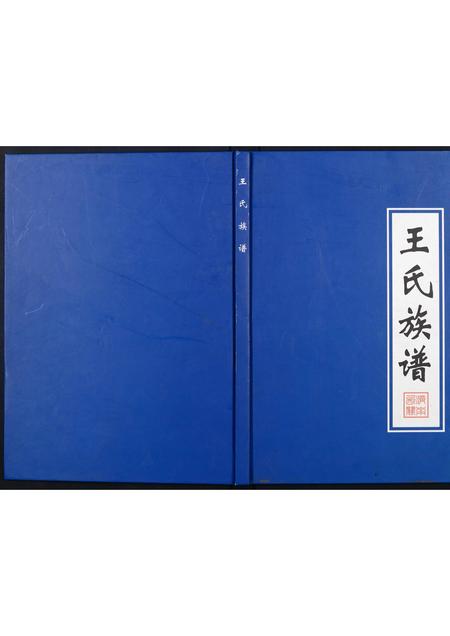 山东王氏-王氏族谱.pdf电子版缩略图