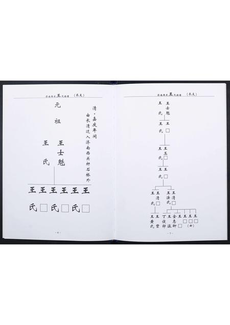 山东王氏-王氏族谱.pdf电子版预览图5