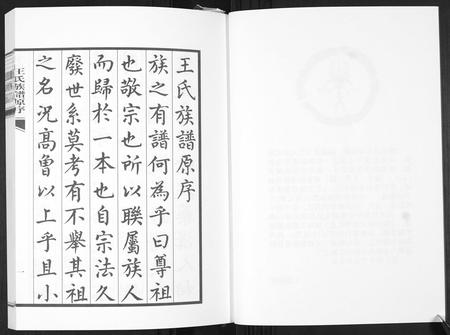 山东王氏-王氏族谱.pdf电子版预览图3