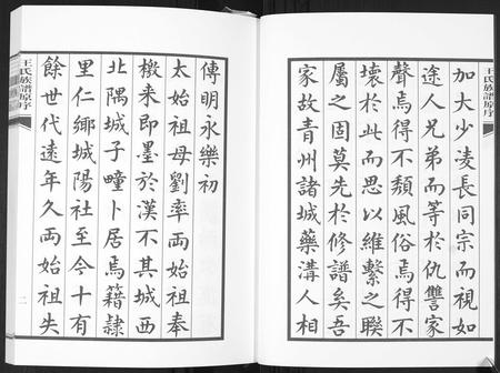 山东王氏-王氏族谱.pdf电子版预览图4