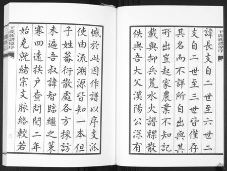 山东王氏-王氏族谱.pdf电子版预览图5