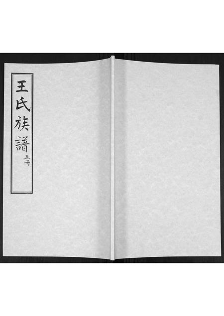 山东王氏-王氏族谱.pdf电子版缩略图