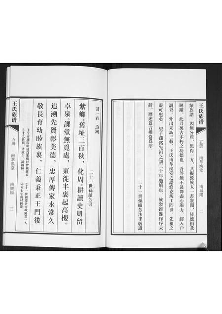 山东王氏-王氏族谱.pdf电子版预览图4