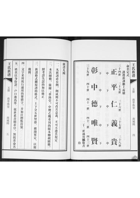 山东王氏-王氏族谱.pdf电子版预览图5