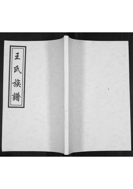 山东王氏-王氏族谱.pdf电子版缩略图