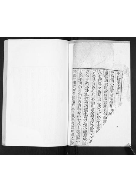 山东王氏-王氏族谱.pdf电子版预览图1