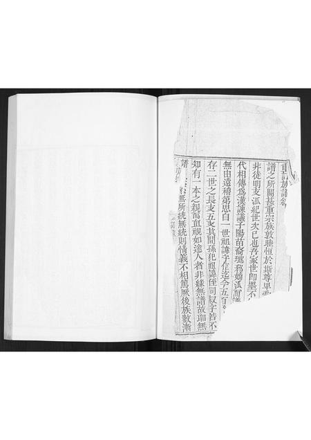 山东王氏-王氏族谱.pdf电子版预览图2