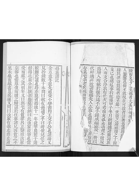 山东王氏-王氏族谱.pdf电子版预览图3