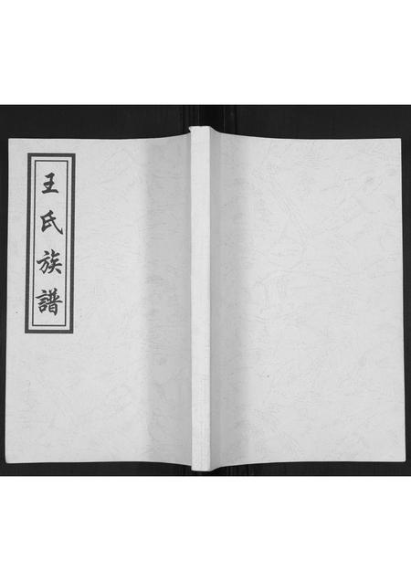 山东王氏-王氏族谱.pdf电子版缩略图