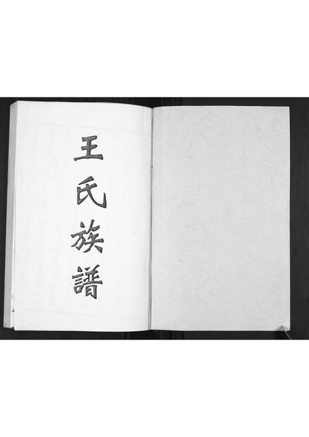 山东王氏-王氏族谱.pdf电子版预览图1
