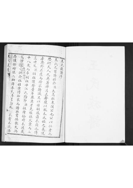 山东王氏-王氏族谱.pdf电子版预览图2