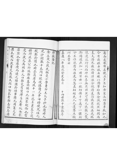 山东王氏-王氏族谱.pdf电子版预览图5