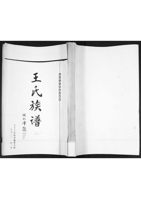 山东王氏-王氏族谱.pdf电子版缩略图