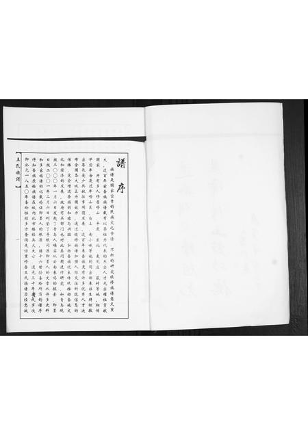 山东王氏-王氏族谱.pdf电子版预览图2