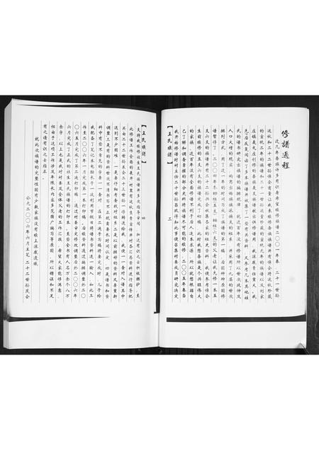 山东王氏-王氏族谱.pdf电子版预览图4