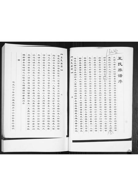 山东王氏-王氏族谱.pdf电子版预览图5