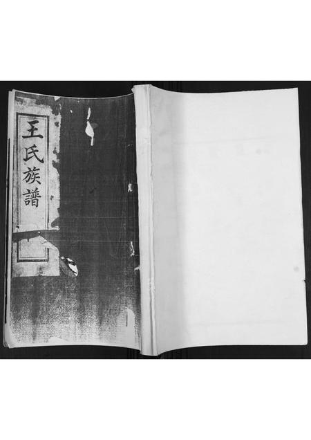 山东王氏-王氏族谱.pdf电子版缩略图