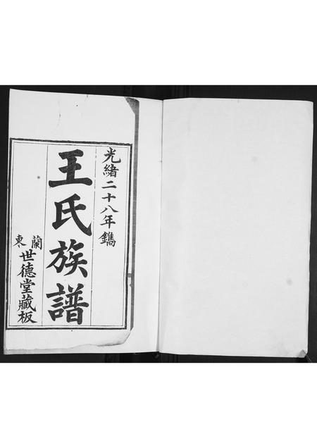 山东王氏-王氏族谱.pdf电子版预览图1