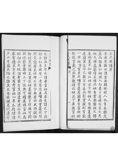 山东王氏-王氏族谱.pdf电子版预览图2