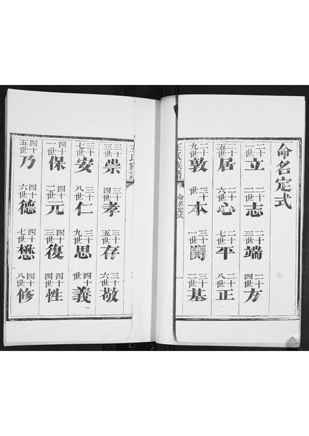 山东王氏-王氏族谱.pdf电子版预览图5