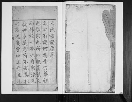 山东王氏-王氏族谱.pdf电子版预览图1