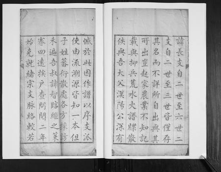 山东王氏-王氏族谱.pdf电子版预览图3