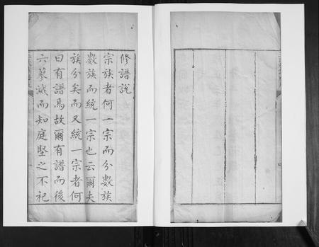 山东王氏-王氏族谱.pdf电子版预览图5