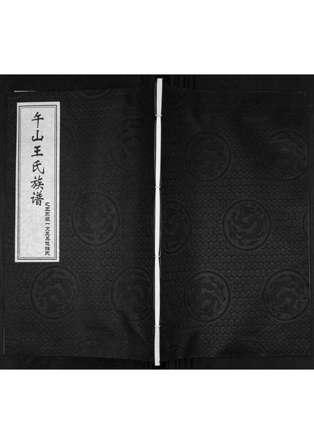 山东王氏-王氏族谱.pdf电子版缩略图