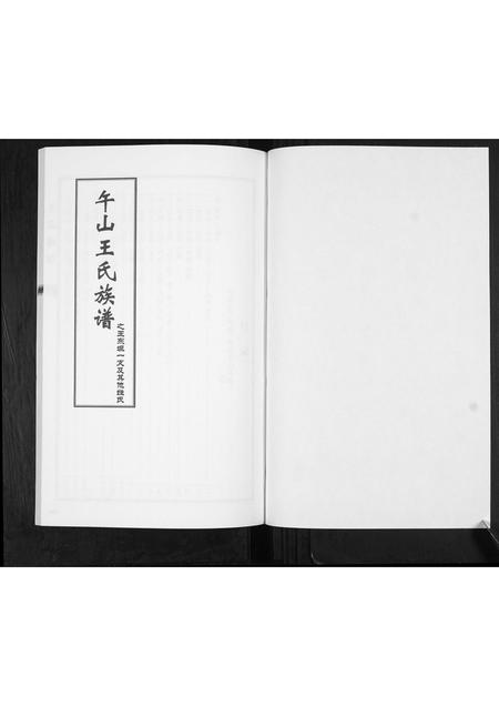 山东王氏-王氏族谱.pdf电子版预览图1