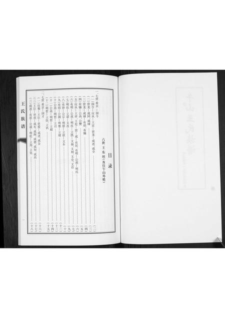 山东王氏-王氏族谱.pdf电子版预览图2