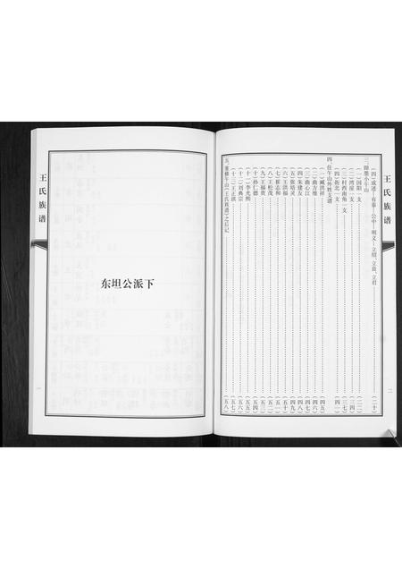 山东王氏-王氏族谱.pdf电子版预览图3