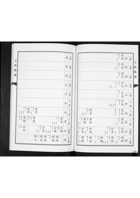 山东王氏-王氏族谱.pdf电子版预览图4