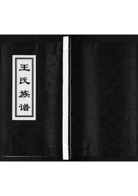 山东王氏-王氏族谱.pdf电子版缩略图