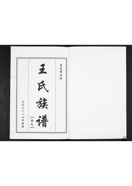 山东王氏-王氏族谱.pdf电子版预览图1