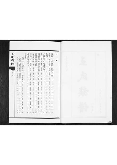 山东王氏-王氏族谱.pdf电子版预览图2