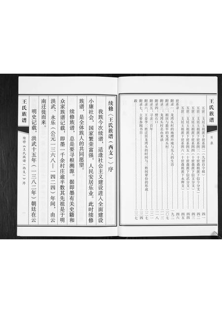 山东王氏-王氏族谱.pdf电子版预览图3