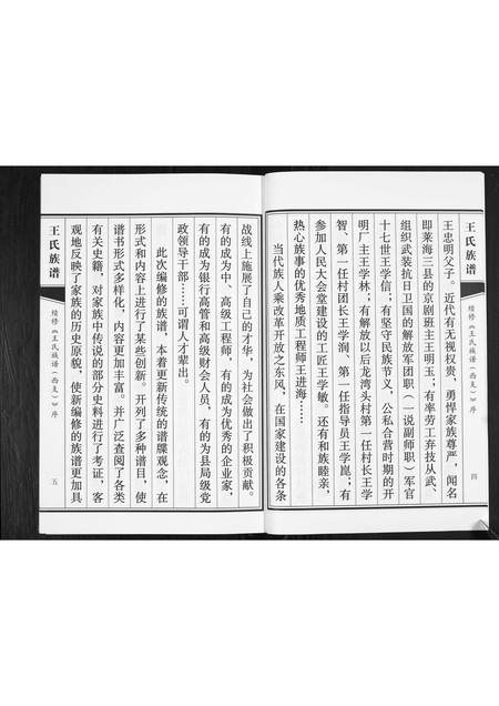 山东王氏-王氏族谱.pdf电子版预览图4