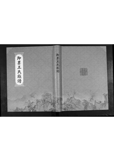 山东王氏-王氏族谱.pdf电子版缩略图