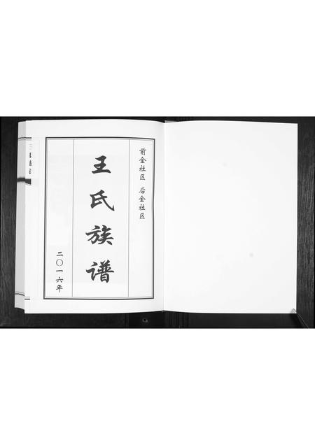 山东王氏-王氏族谱.pdf电子版预览图1