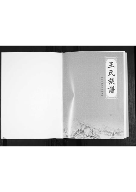 山东王氏-王氏族谱.pdf电子版预览图1