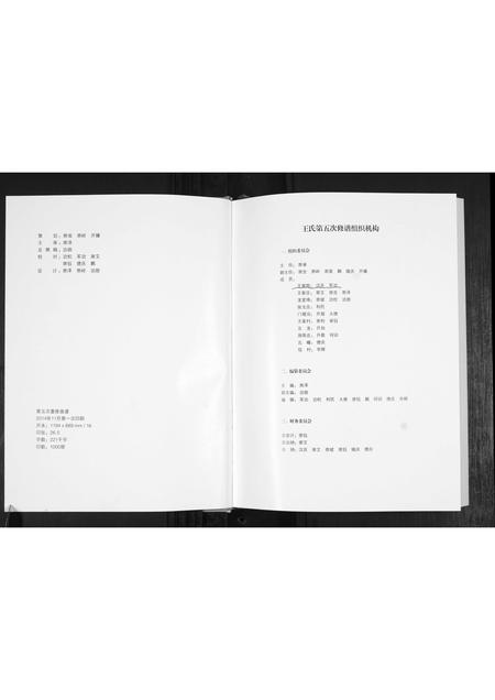 山东王氏-王氏族谱.pdf电子版预览图2