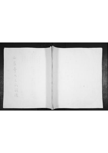 山东王氏-王氏族谱.pdf电子版缩略图