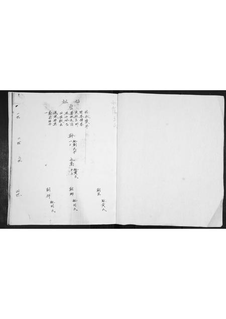 山东王氏-王氏族谱.pdf电子版预览图1