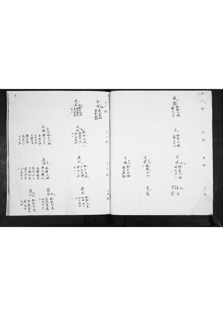 山东王氏-王氏族谱.pdf电子版预览图3