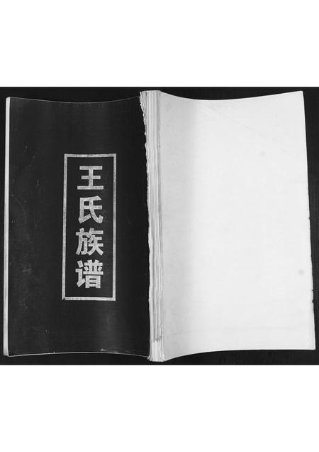 山东王氏-王氏族谱.pdf电子版缩略图