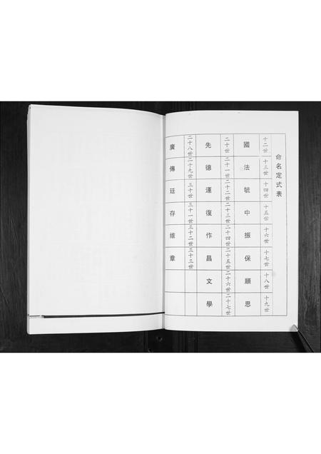 山东王氏-王氏族谱.pdf电子版预览图5