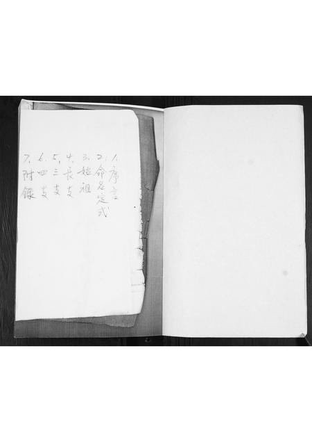 山东王氏-王氏族谱.pdf电子版预览图1