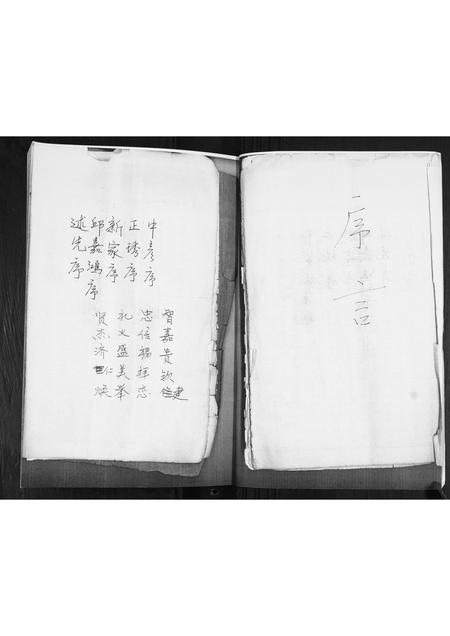 山东王氏-王氏族谱.pdf电子版预览图2