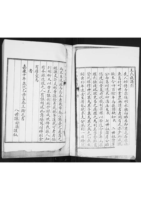 山东王氏-王氏族谱.pdf电子版预览图1